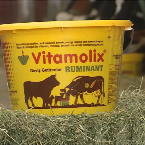 Vitamolix Ruminant