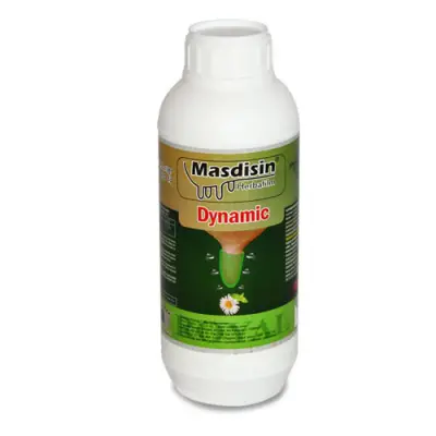 Masdisin Dynamic