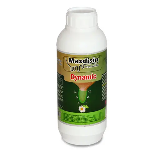 Masdisin Dynamic